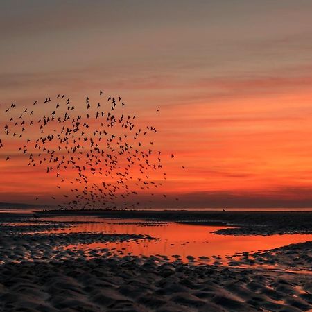 Hoekje Aan Zee Katwijk aan Zee Zewnętrze zdjęcie