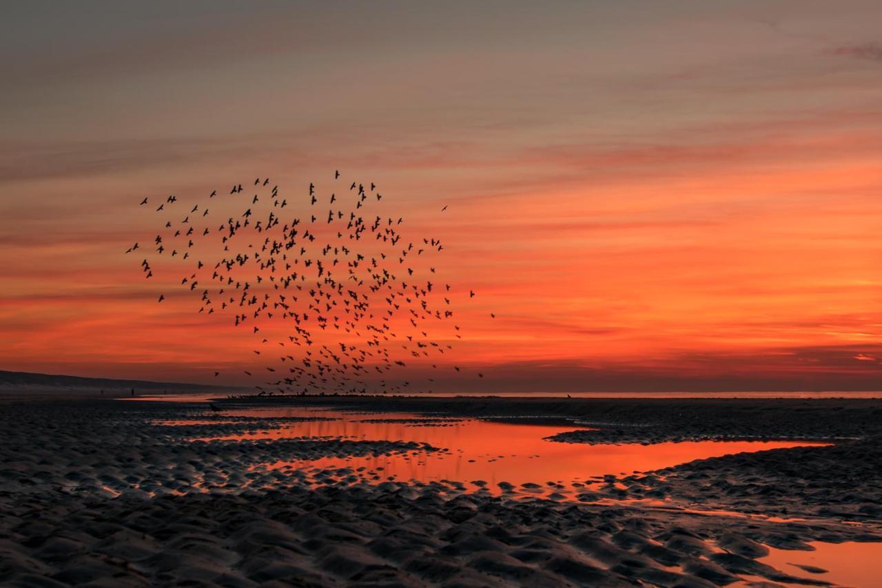 Hoekje Aan Zee Katwijk aan Zee Zewnętrze zdjęcie