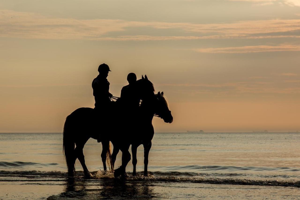 Hoekje Aan Zee Katwijk aan Zee Zewnętrze zdjęcie